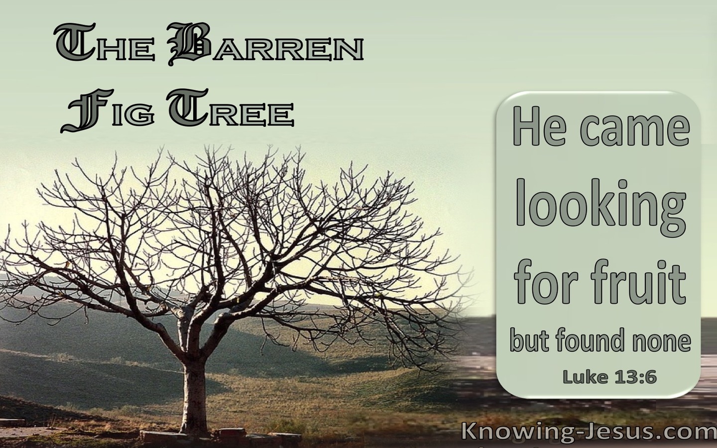 Luke 13:6 The Barren Fig Tree : He Found No Fruit (sage)